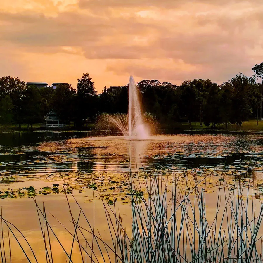 Lake Lily fountain at sunset